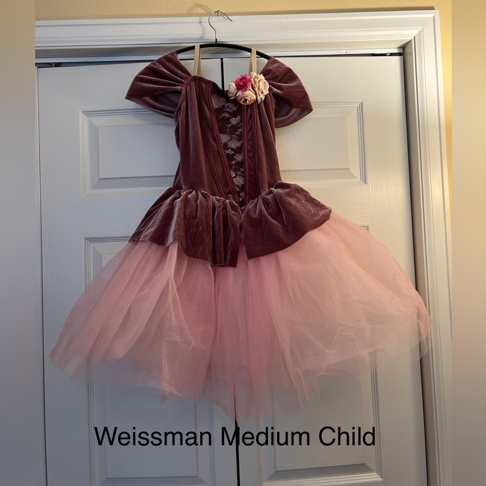 Beautiful ballet costume